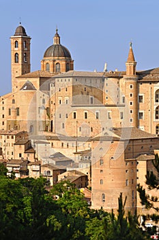 Urbino