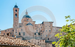 Urbino