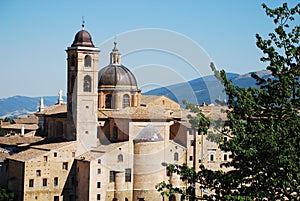 Urbino 4