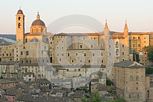 Urbino