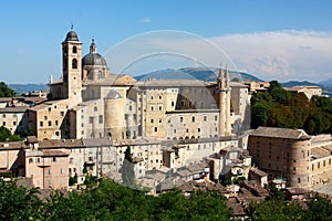 Urbino view