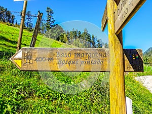 Urdaibai Biosphere Reserve, Bizkaia,Spain; 2018-04-16: Castel Route Indicator to bosque pintado de oma