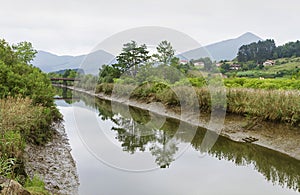 Urdaibai marshes