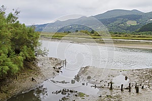 Urdaibai marshes