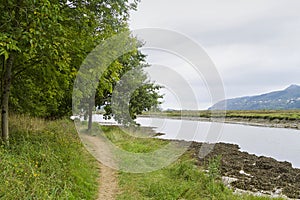 Urdaibai marshes