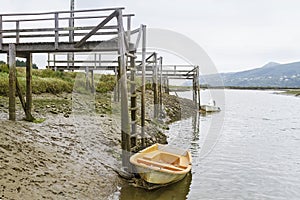 Urdaibai marshes