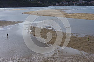 Urdaibai reserve, Bizkaia, Basque Country photo