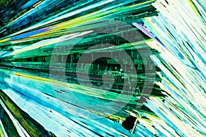 Urea or carbamide crystals in polarized light