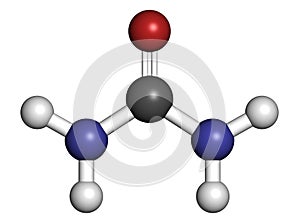 Urea (carbamide) molecule. Used in cosmetics, fertilizer; present in urine. Atoms are represented as spheres with conventional