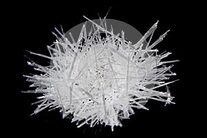 Urea CO(NH2)2 biological crystal