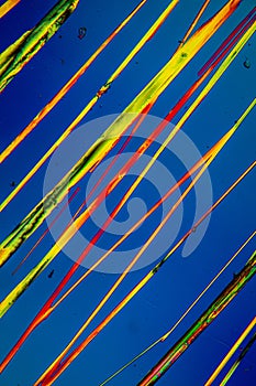 Urea crystals in polarized light