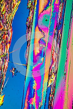 Urea crystals in polarized light under the microscope