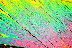 Urea crystals in polarized light