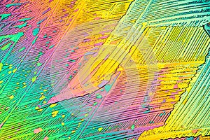 Urea crystals in polarized light