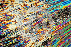 Urea Crystals under the Microscope.