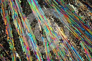 Urea Crystals under the Microscope.