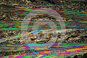 Urea Crystals under the Microscope.