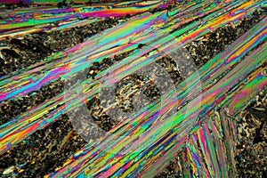 Urea Crystals under the Microscope.