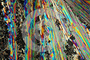 Urea Crystals under the Microscope.