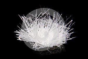 Urea (organic mineral)