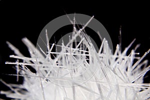 Urea (organic mineral)