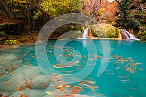 Urederra natural park