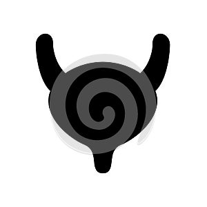 Ureter symbol flat black line icon, Vector Illustration