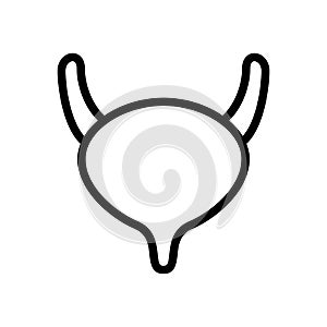 Ureter symbol line icon, Vector Illustration