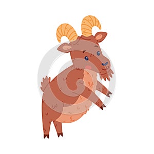 Urial Character as Wild Mountain Sheep with Horns Standing on Hind Legs Vector Illustration