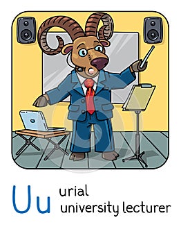 Urial or ram university lecturer. Professions ABC
