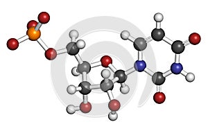 Uridine monophosphate (UMP, uridylic acid) nucleotide molecule. Building block of RNA. Atoms are represented as spheres with