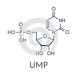 Uridine monophosphate UMP, uridylic acid nucleotide molecule. Building block of RNA. Skeletal formula.