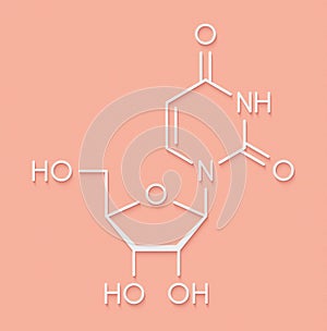 Uridine nucleoside molecule.