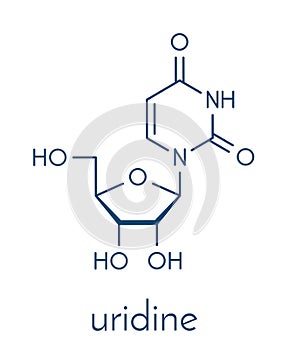 Uridine nucleoside molecule. Building block of RNA. Skeletal formula.