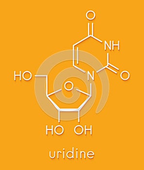 Uridine nucleoside molecule. Building block of RNA. Skeletal formula.
