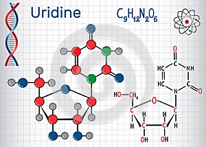 Uridine - pyrimidine nucleoside molecule, is important part