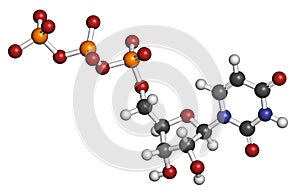 Uridine triphosphate (UTP) nucleotide molecule. Building block of RNA. Atoms are represented as spheres with conventional color