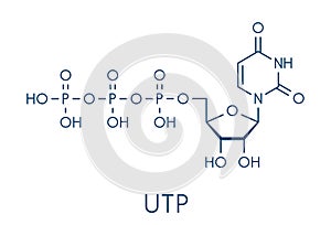 Uridine triphosphate UTP nucleotide molecule. Building block of RNA. Skeletal formula.