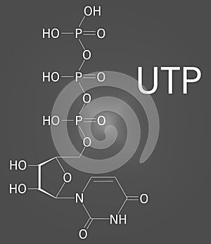 Uridine triphosphate or UTP nucleotide molecule. Building block of RNA. Skeletal formula.
