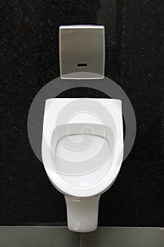 Urinal photo