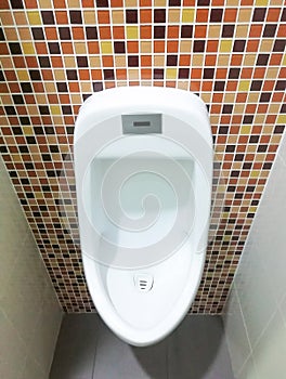 Urinal white color in the bathroom