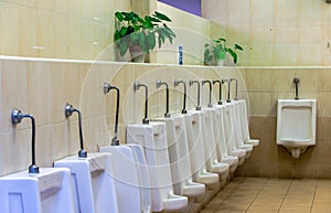 Urinals in men toilet, Urinals without partitions