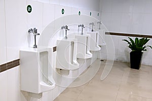 Urinals in a public men's room