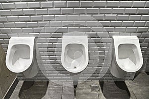 Urinals Public Toilet