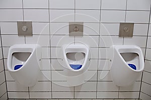 Urinals Public Toilet