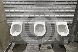 Urinals Public Toilet