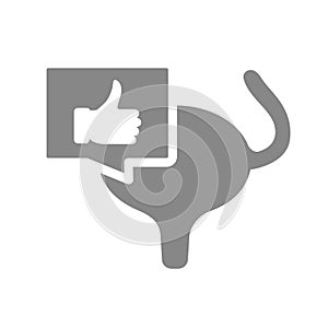 Urinary bladder with thumb up gesture in chat bubble gray icon. Muscular organ of the excretory system symbol