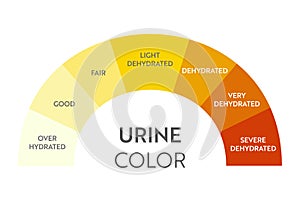 Urine color chart . photo