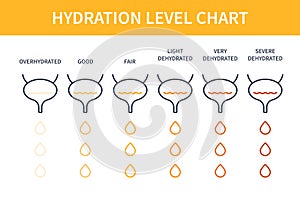 Urine color hydration chart illustration of bladders