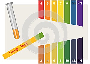 Urine Test . Hand holding test tube with pH indicator comparing color to scale and litmus strips for measurement of acidity.